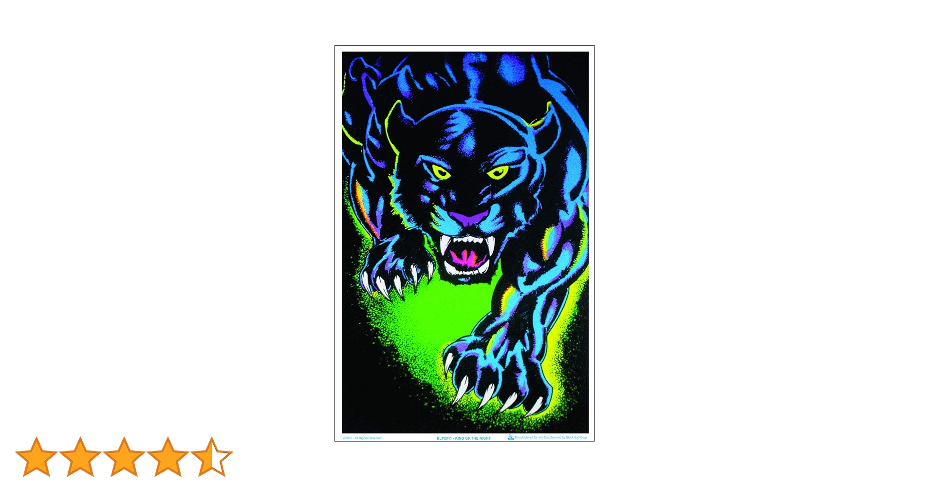 Amazon.co.jp: King of The Night ブラックキャットブラック